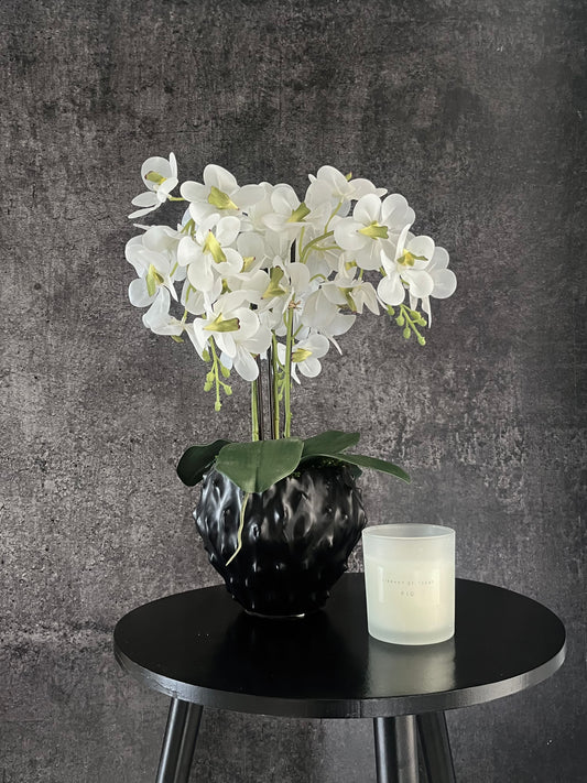 Artificial white orchid surrounded by artificial moss in a contemporary black spiky vase.