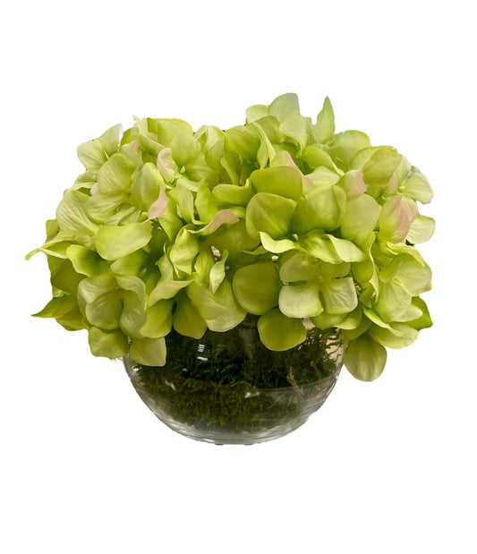 Lime green hydrangeas in a moss lined ball vase