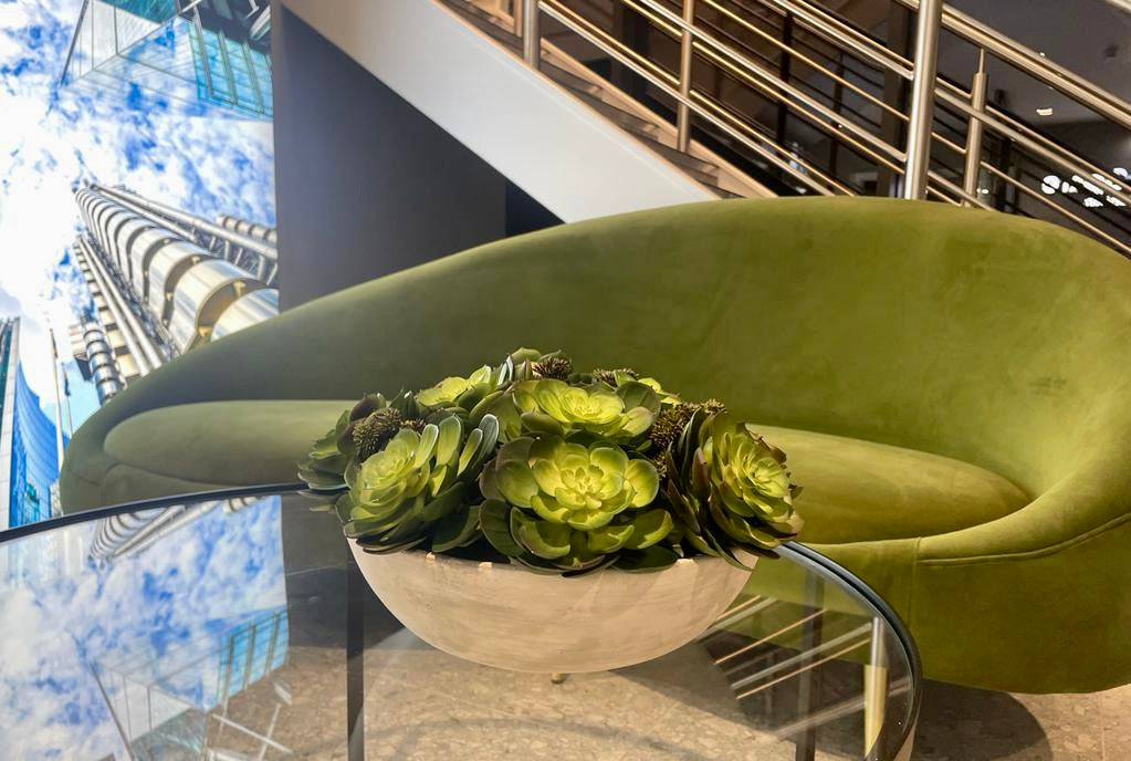 Mixed succulents displayed in a concrete planter on a glass table next to green sofa.