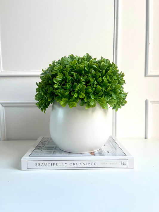 Artificial buxus displayed in a matt white planter displayed on a book.