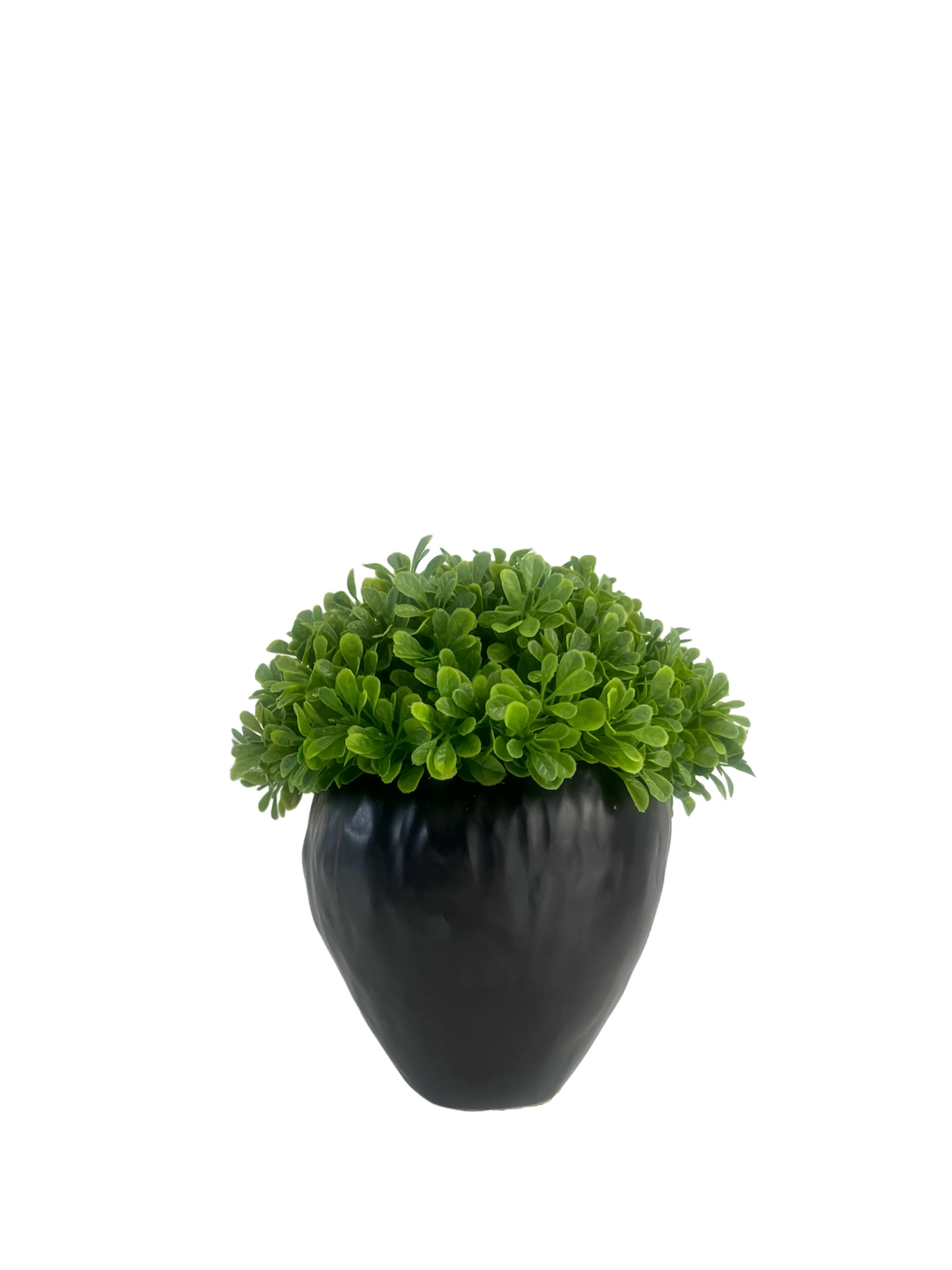 Artificial lush green buxus set in a matt black stoneware pot