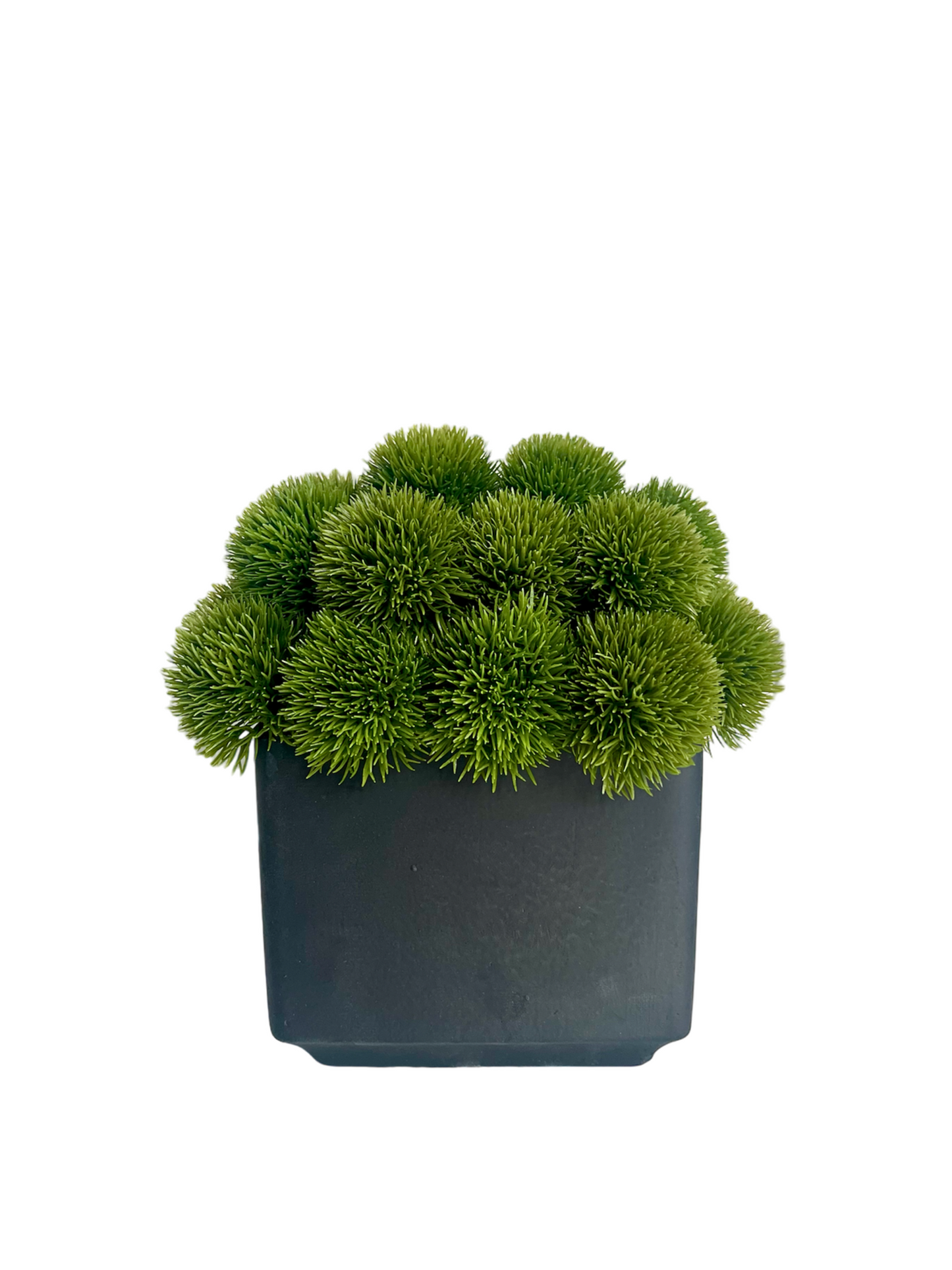 Artificial lush green dianthus set in a matt black cube planter.