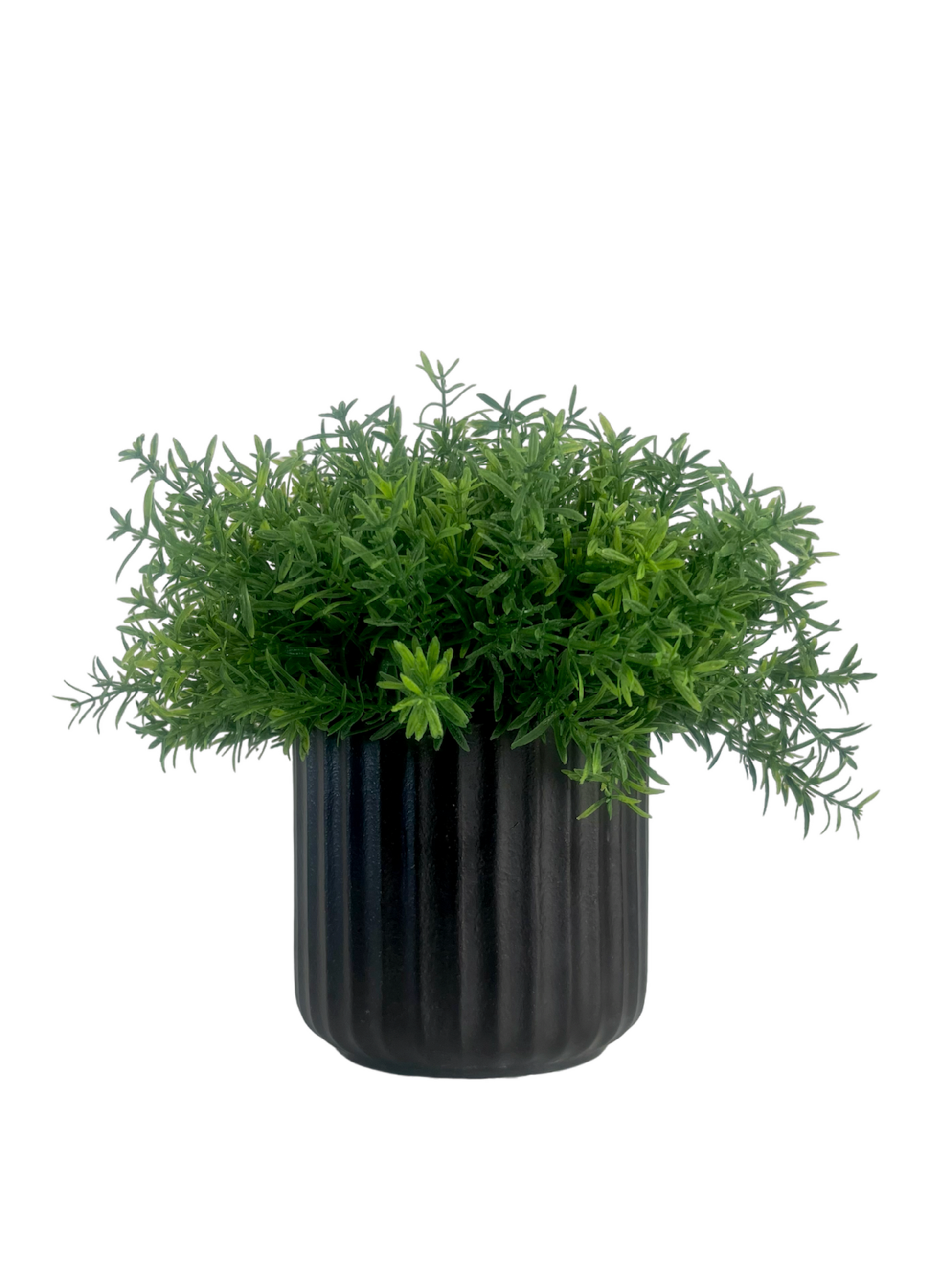 Lush green artificial rosemary set in a black ribbed porcelain ribbed planter 