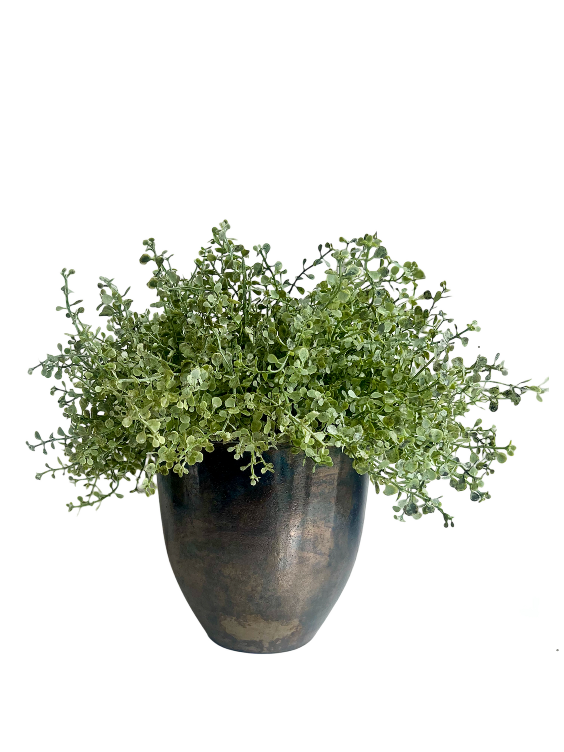 Delicate fresh green artificial button leaf foliage set in a bronze coloured aluminium pot