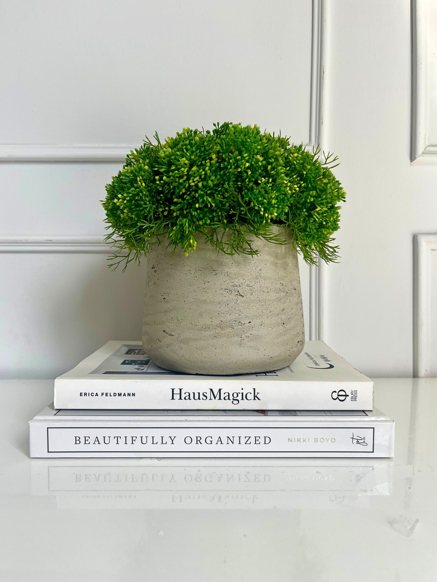 Vibrant green elderflower with tiny yellow buds set in a tapered cement pot displayed on a stack of books.