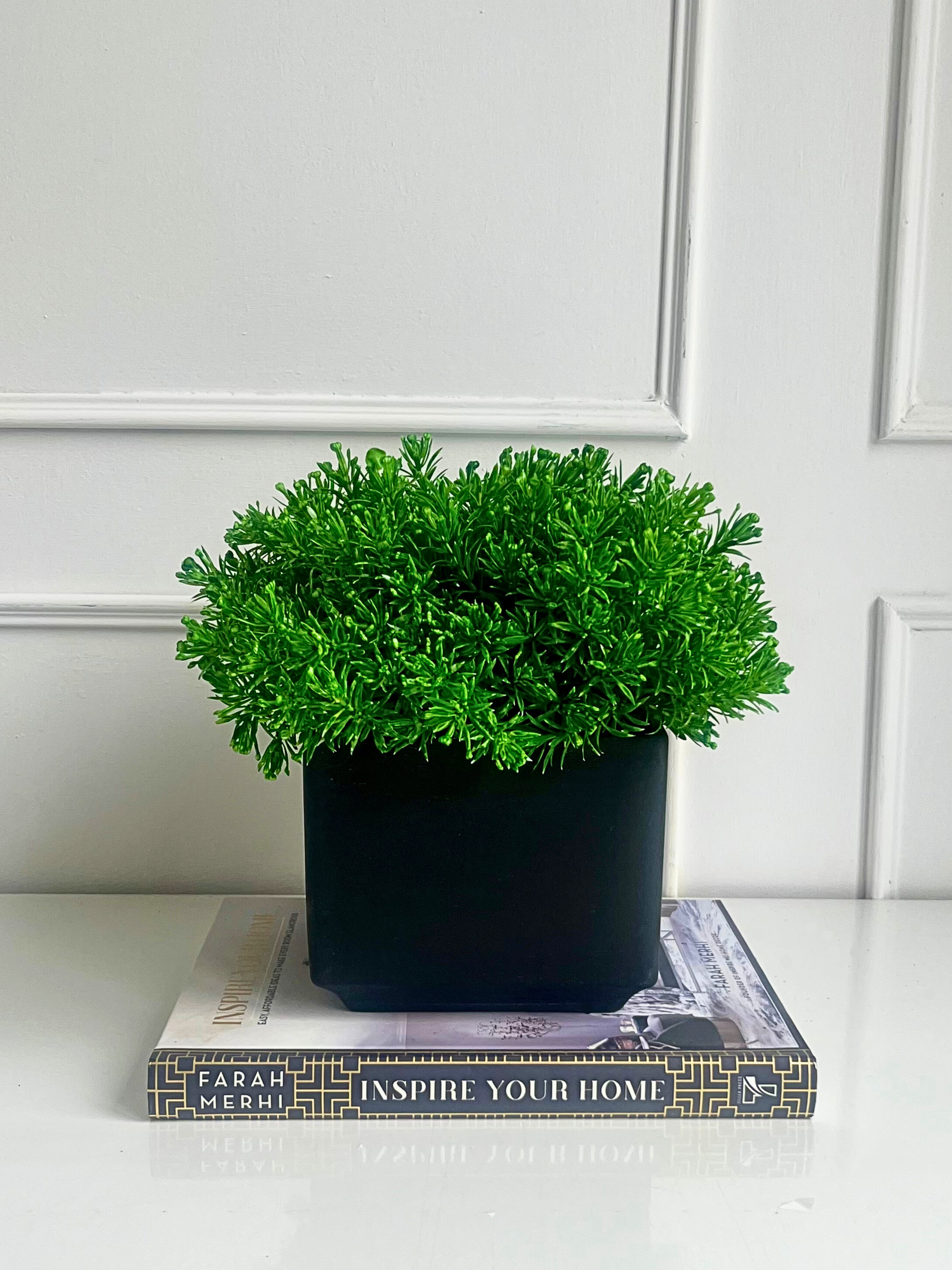 Vibrant green artificial senecio set in a matt black cube planter displayed on a book.