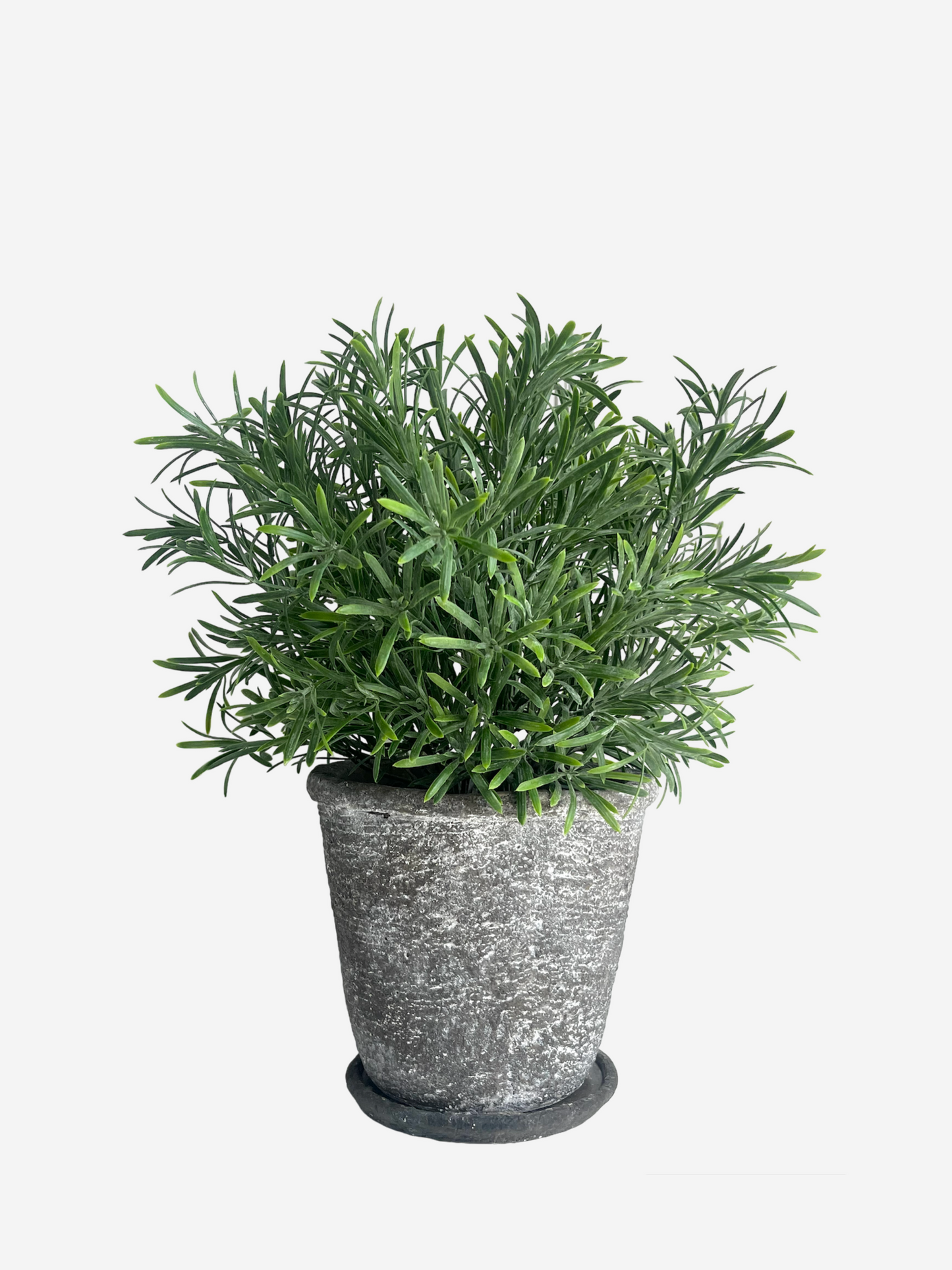 Lush green artificial rosemary set in a rustic concrete planter with tray.