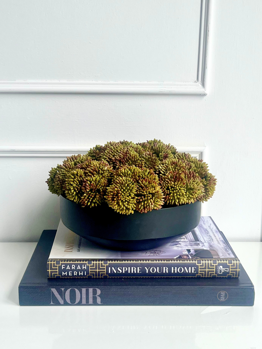 Rich green and burgundy artificial sedum set in a black mango wood bowl planter displayed on a stack of books.