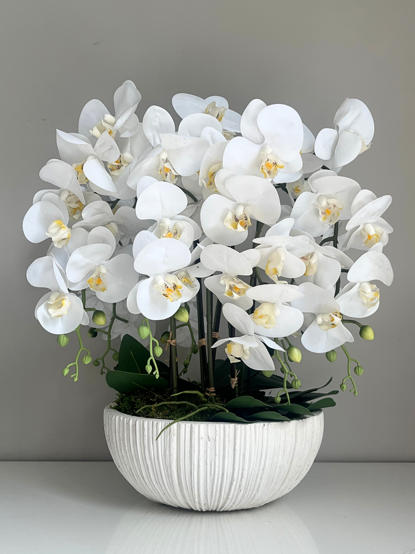 Artificial white orchids set in a white ribbed bowl planter in preserved moss.