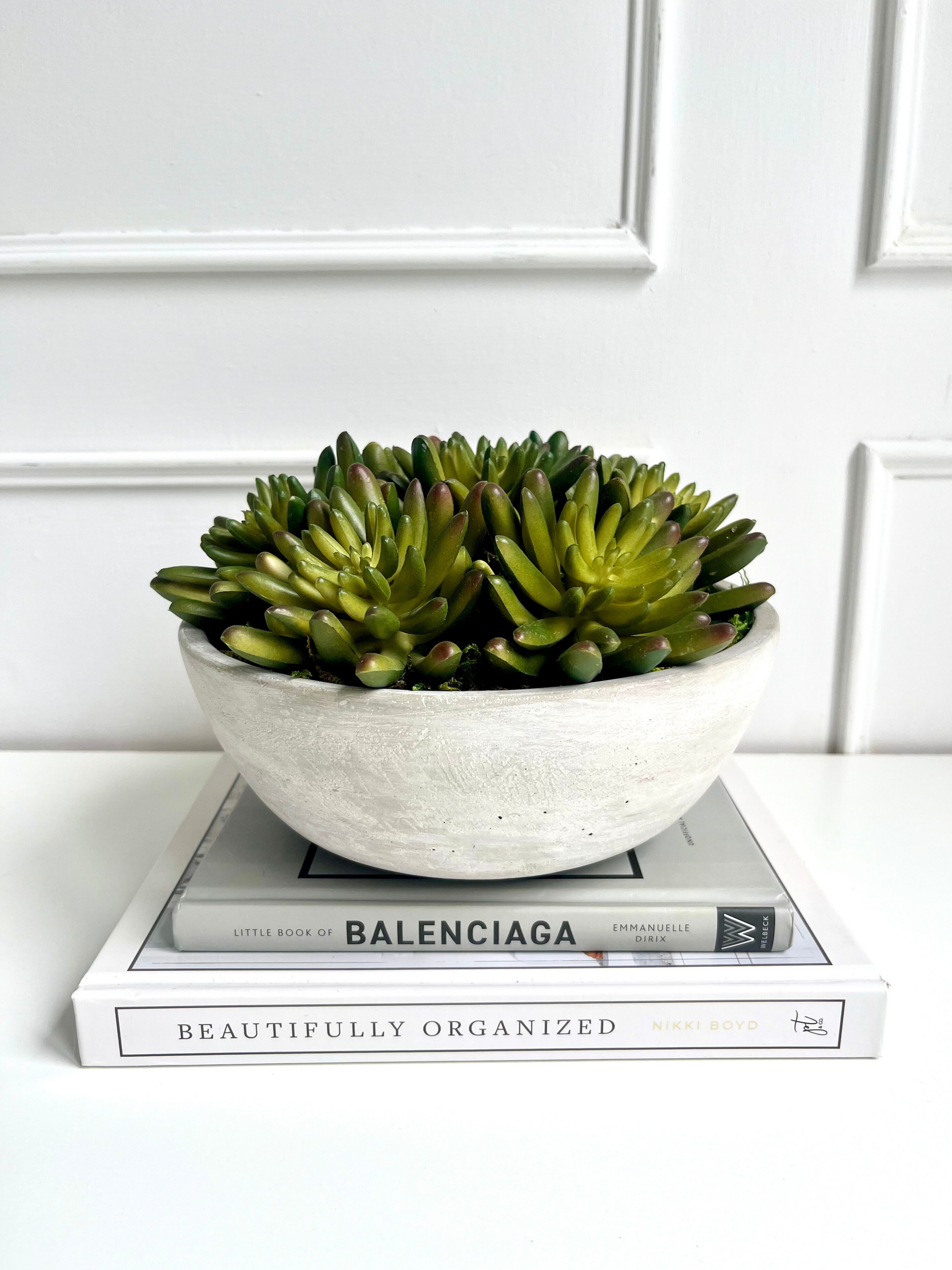 artificial lush green agave succulents arranged in a light grey concrete bowl planter surrounded by a bed of preserved moss displayed on a stack of books.