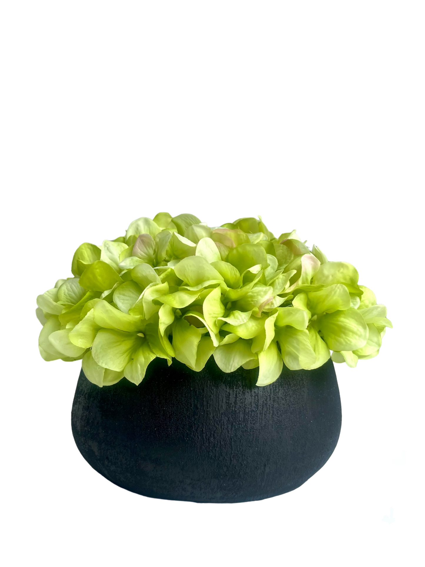 Lime green hydrangea in black melange terracotta bowl planter