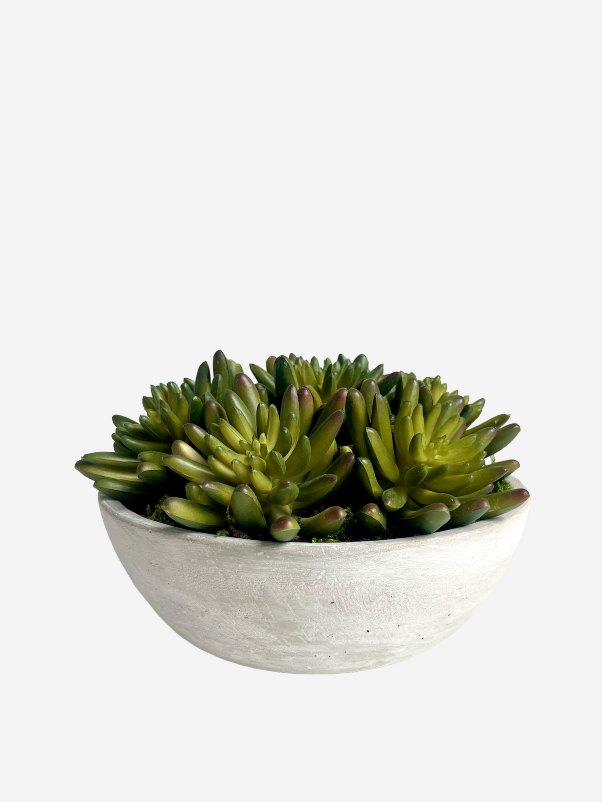 Artificial lush green agave succulents surrounded by preserved moss set in a light grey concrete bowl planter.