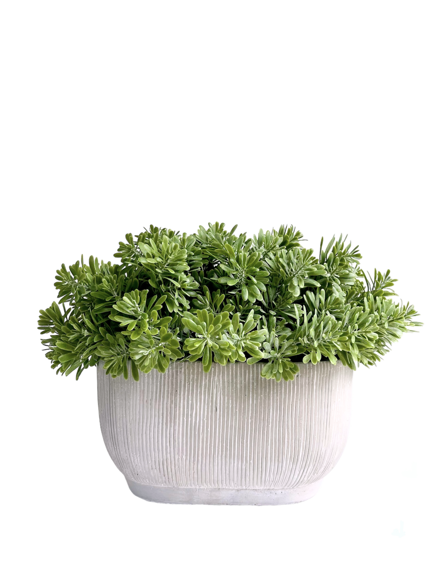 soft green artificial crossestephium succulent set in a light grey ribbed oval concrete planter.