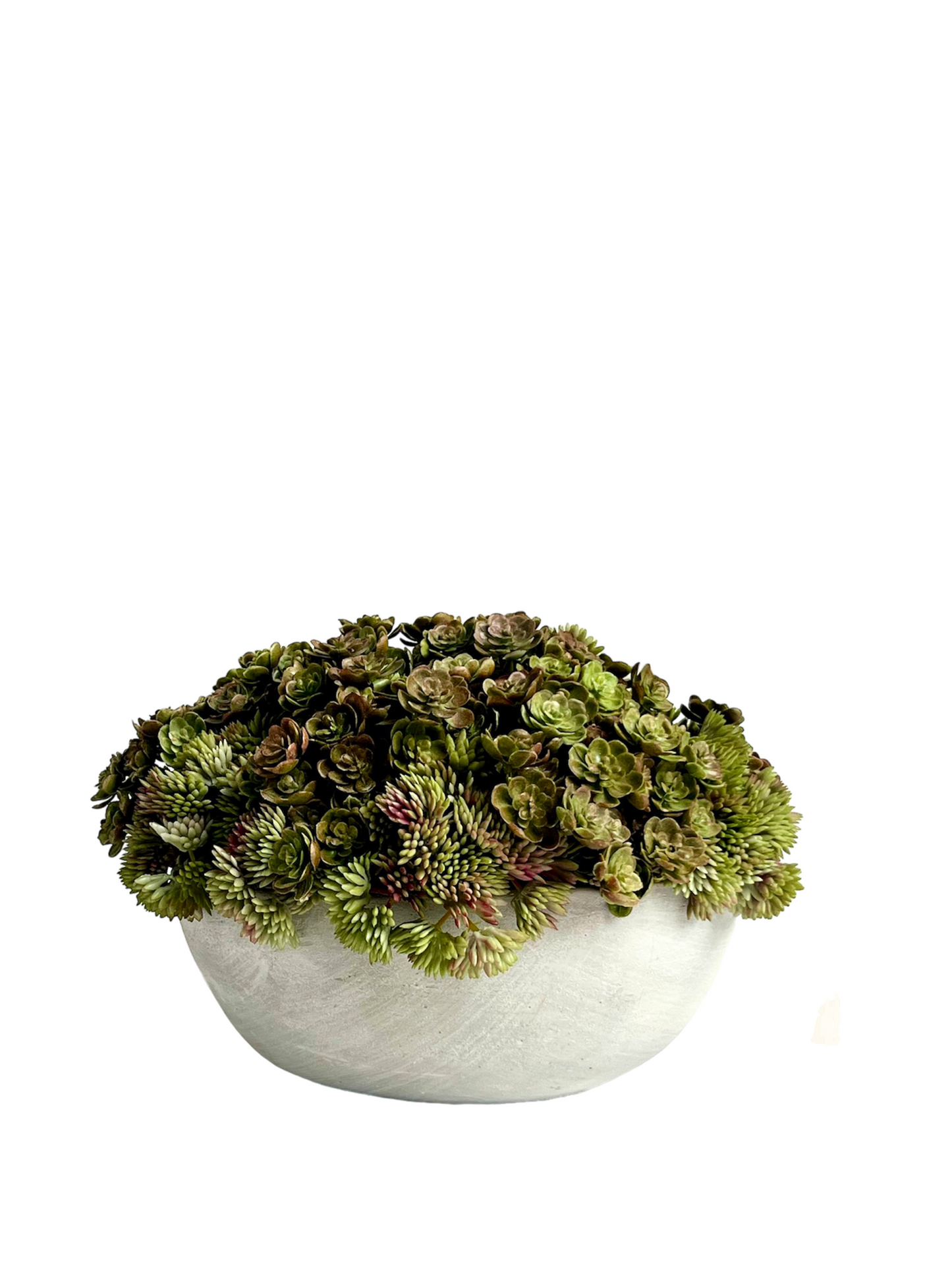 Artificial mini echeveria and angelica succulents set in a concrete bowl planter .