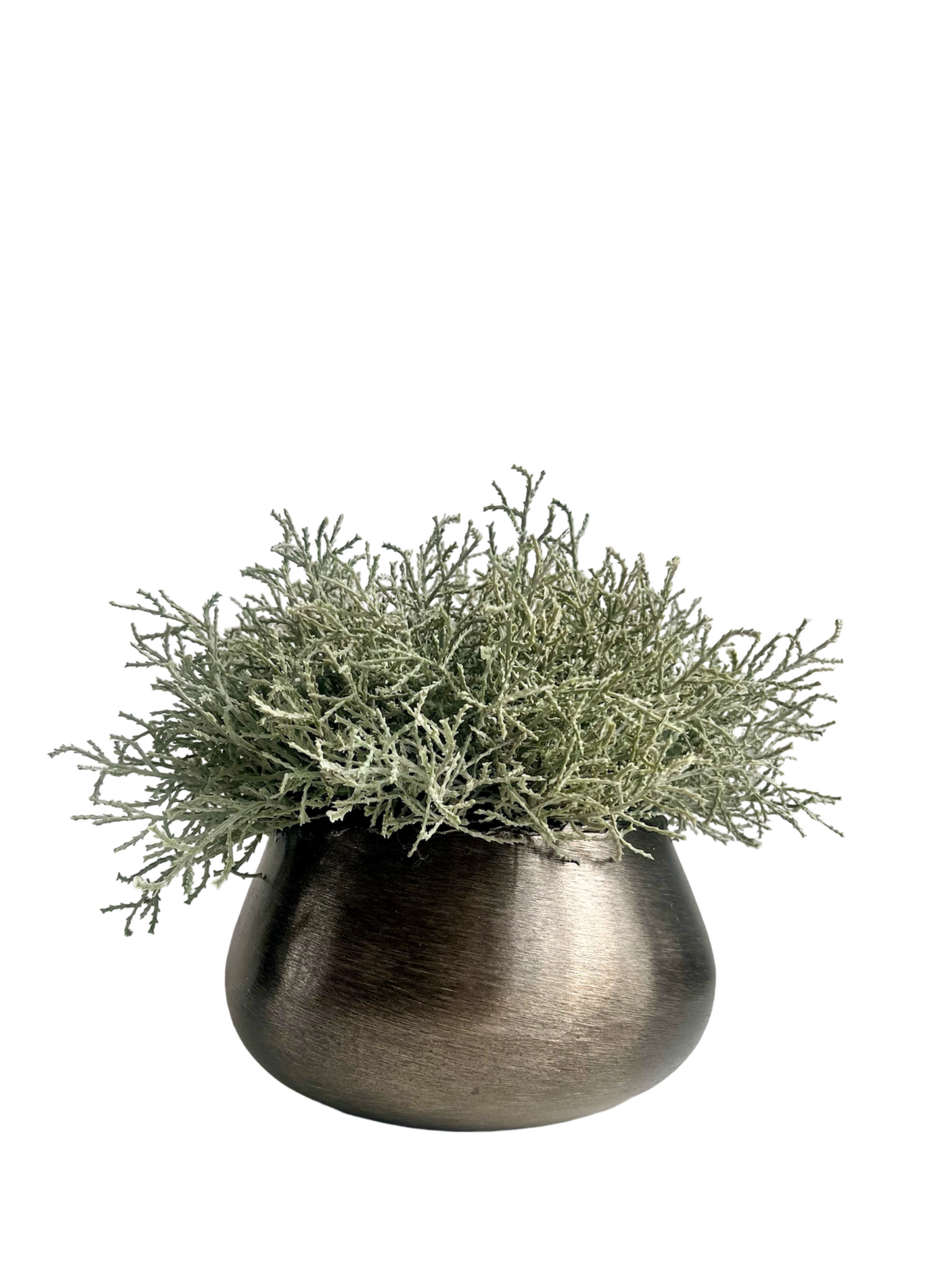 vibrant green artificial senecio set in a brushed metal bronze coloured planter.