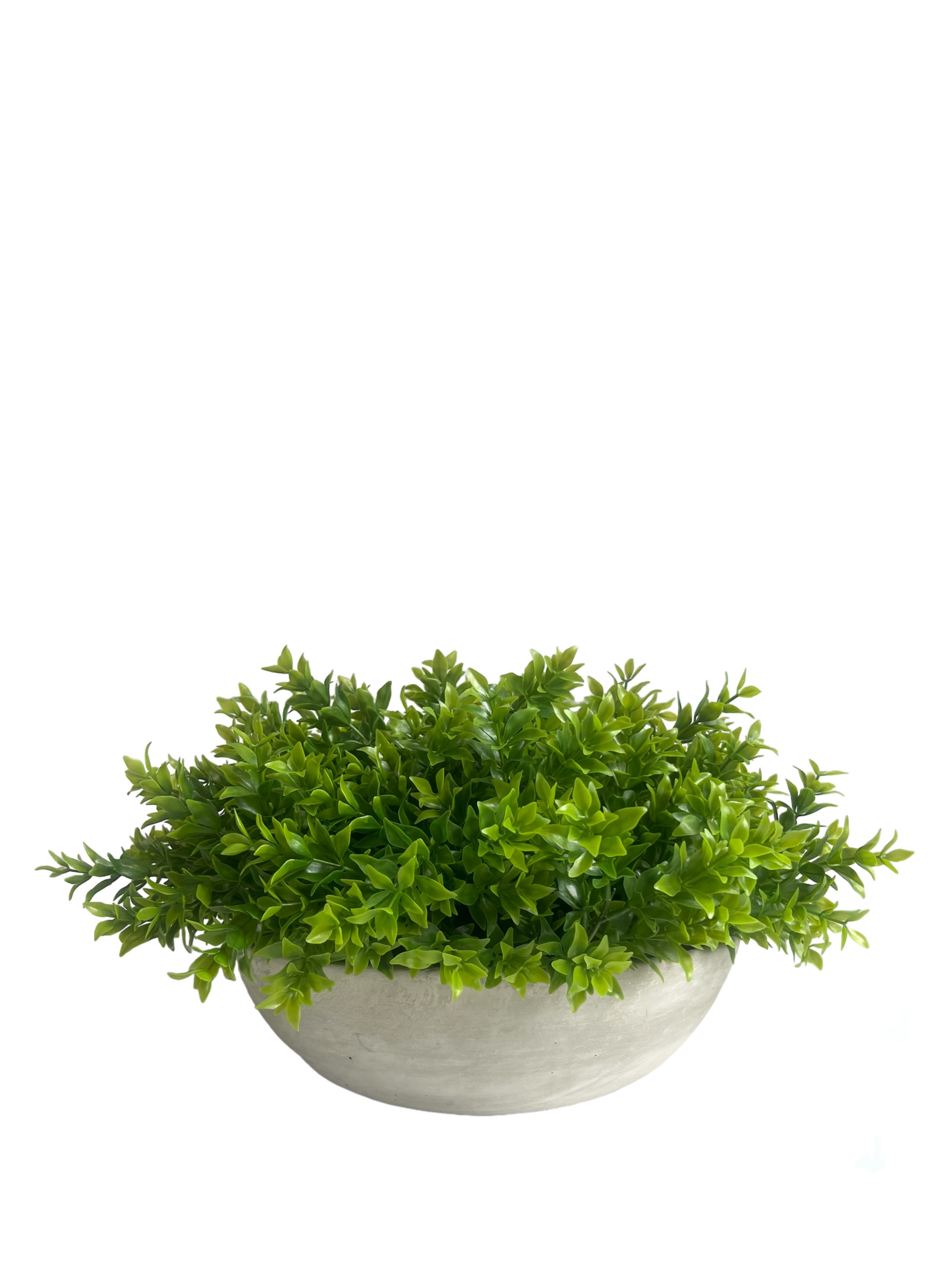 Lush green artificial tea tree plant arranged in a large light grey concrete bowl planter.