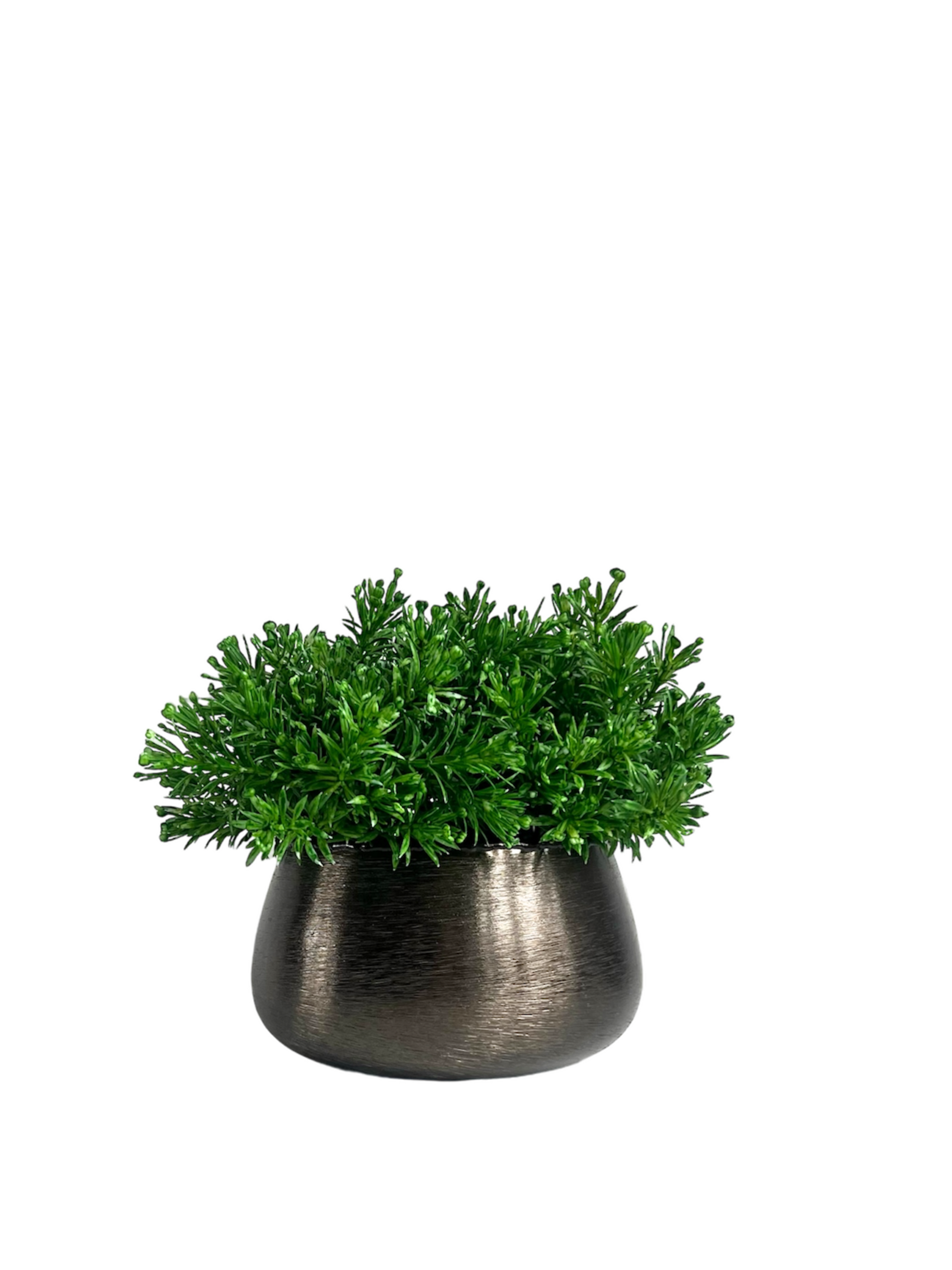 vibrant green artificial senecio set in a brushed metal bronze coloured planter .