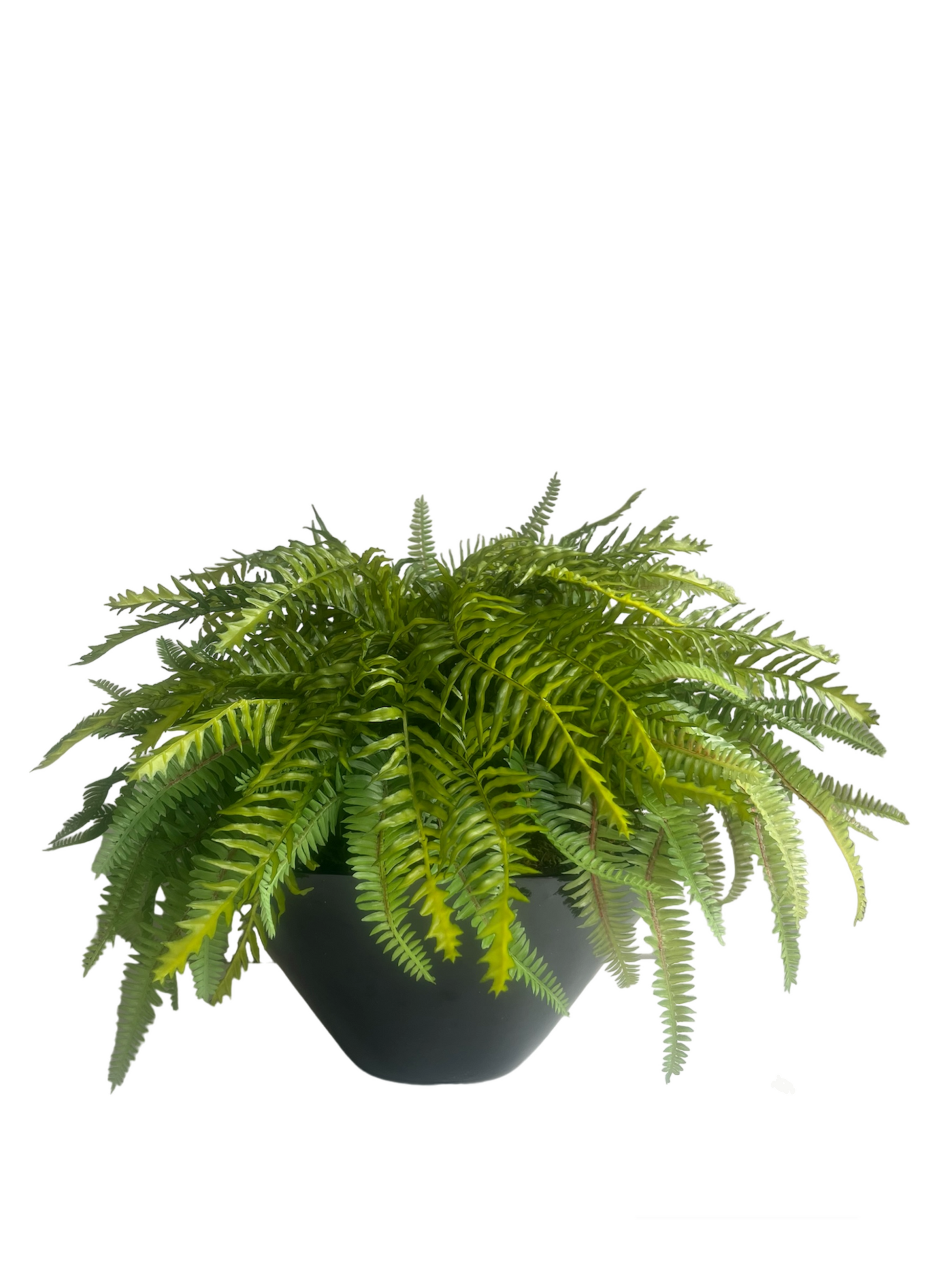 Artificial lush green forest and pinate ferns potted in a black gloss round planter.