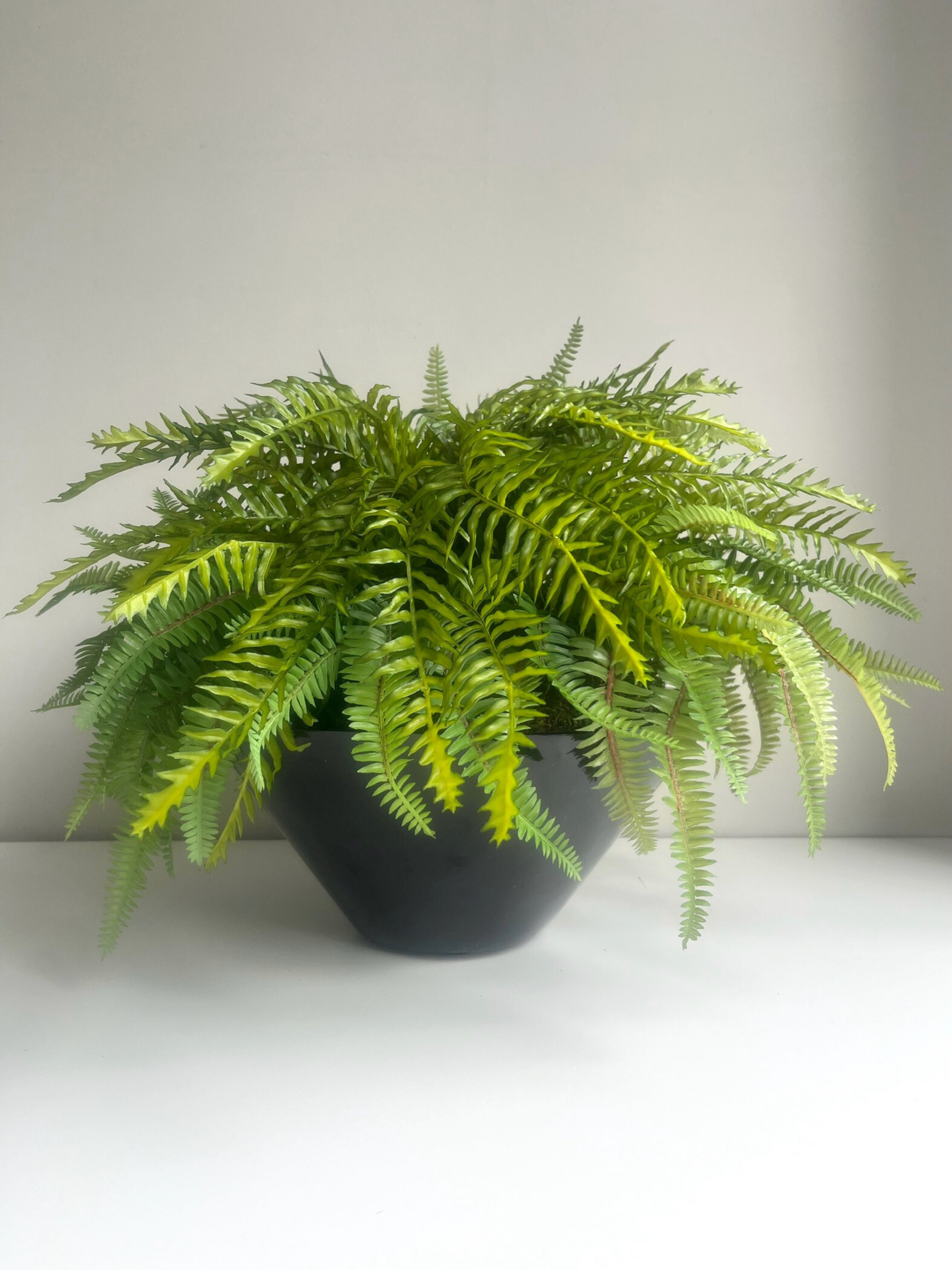 Artificial lush green forest and pinate ferns potted in a black gloss round planter.