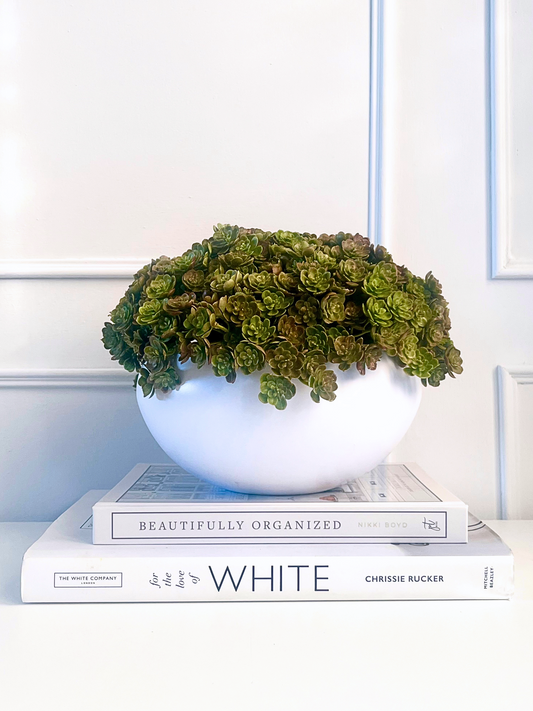 Fresh green artificial mini echeveria set in a matt white ceramic bowl planter displayed on a stack of books.