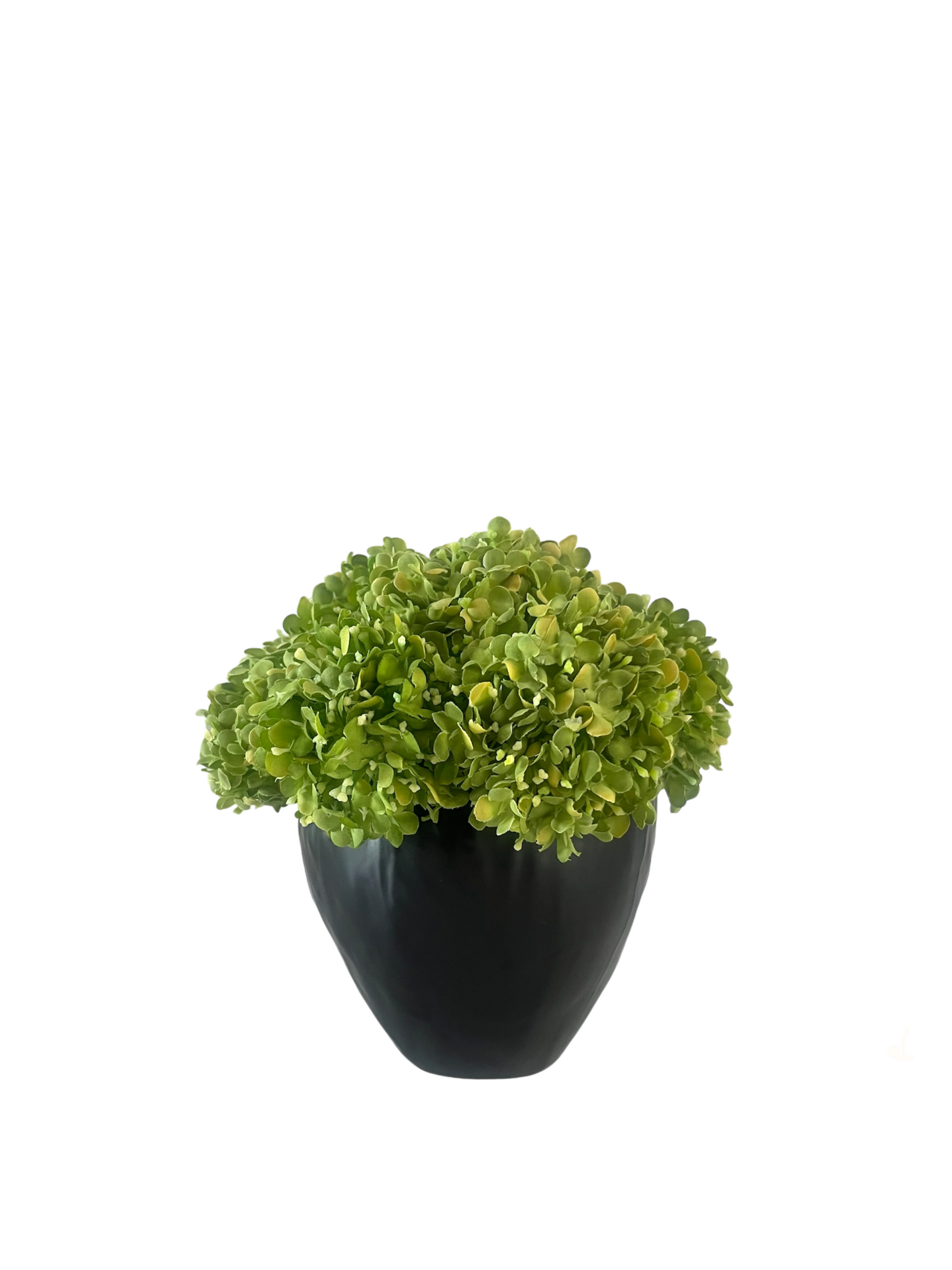 Vibrant green artificial snowball viburnum arranged in a black stoneware pot.