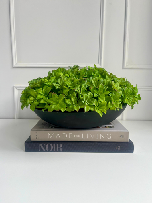 Vibrant green artificial succulents arranged in a black mango wooden bowl planter displayed on a stack of books.