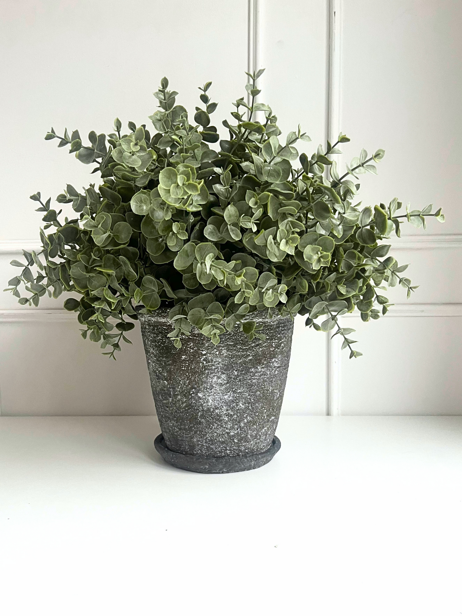 Soft muted green artificial eucalyptus set in a rustic brown concrete pot with matching saucer.