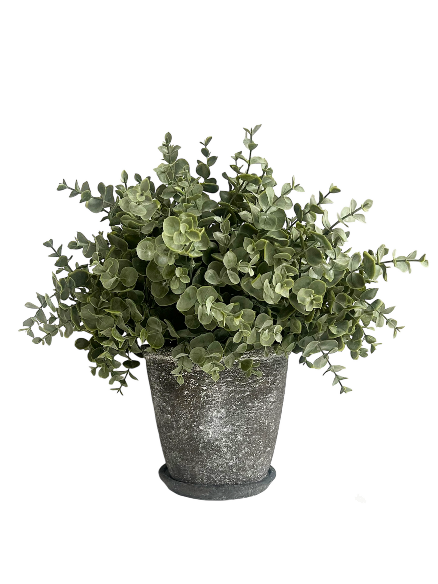 Soft muted green artificial eucalyptus set in a rustic brown concrete pot with matching saucer.