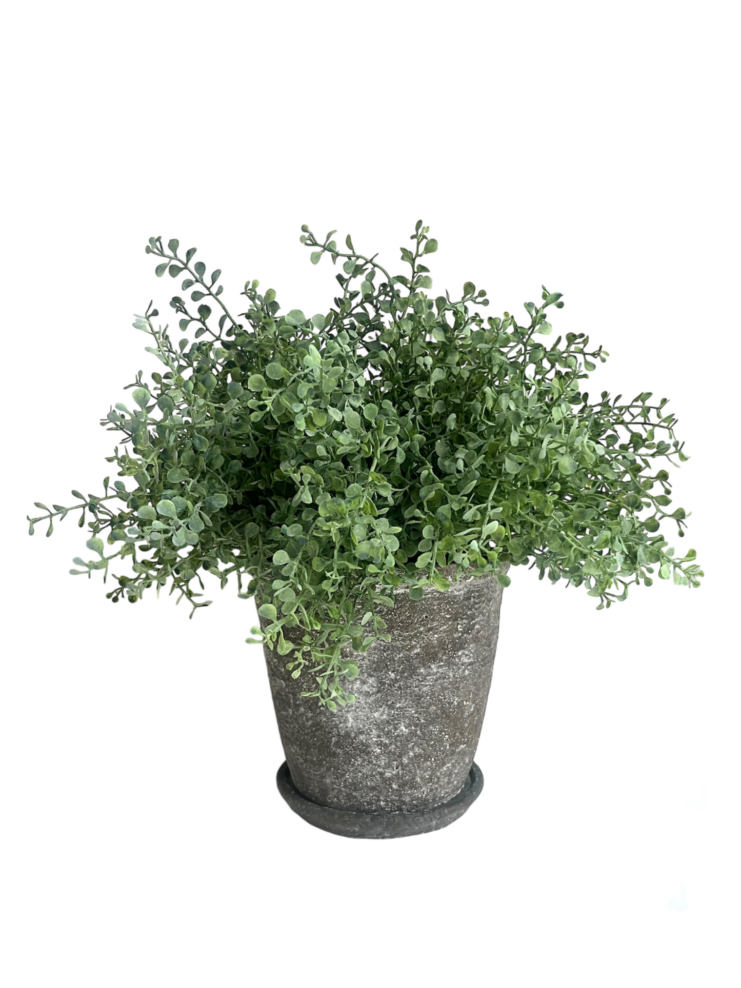 Green artificial button fern plant set in a rustic brown concrete pot with matching saucer.