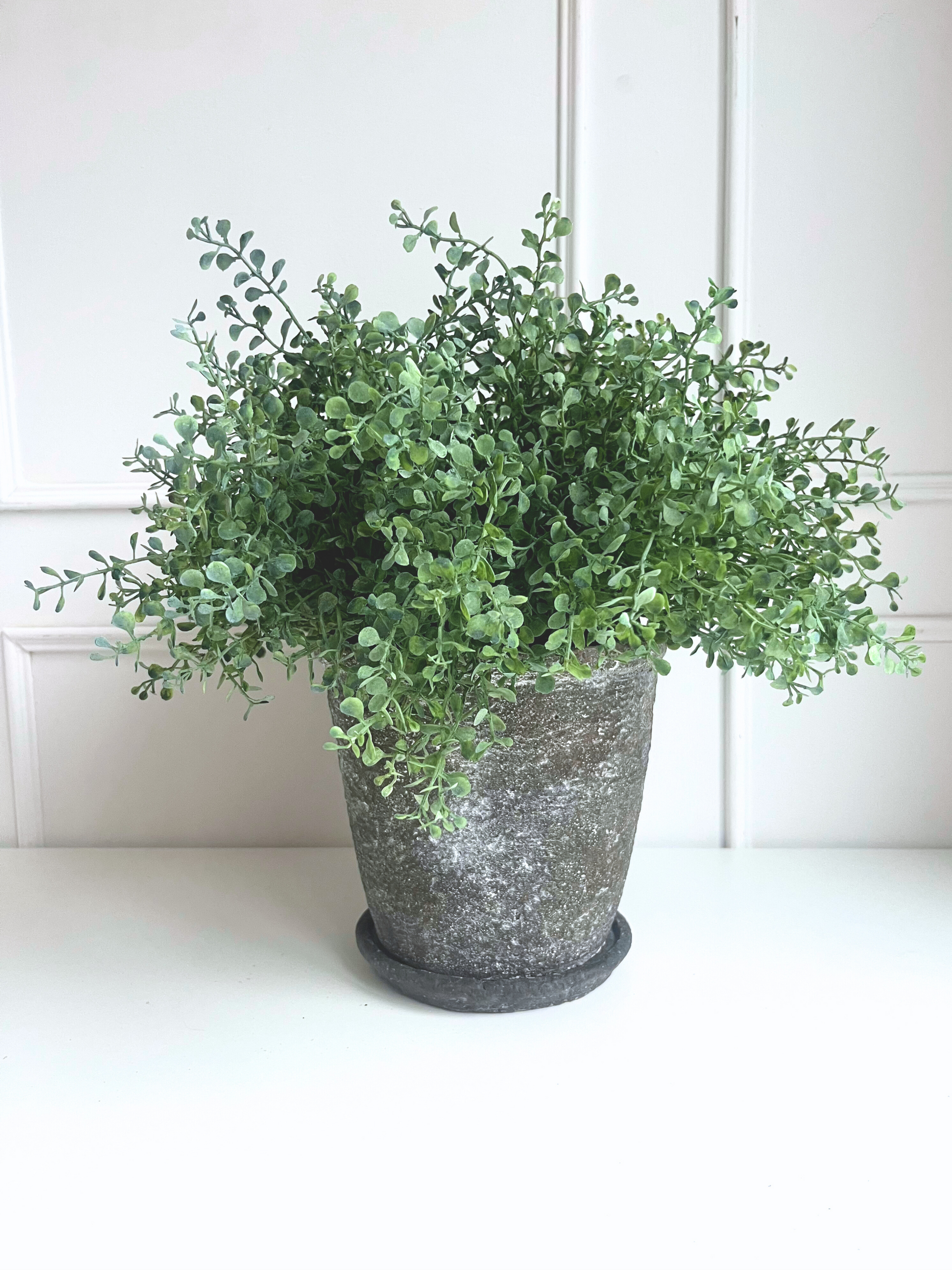 Green artificial button fern plant set in a rustic brown concrete pot with matching saucer.