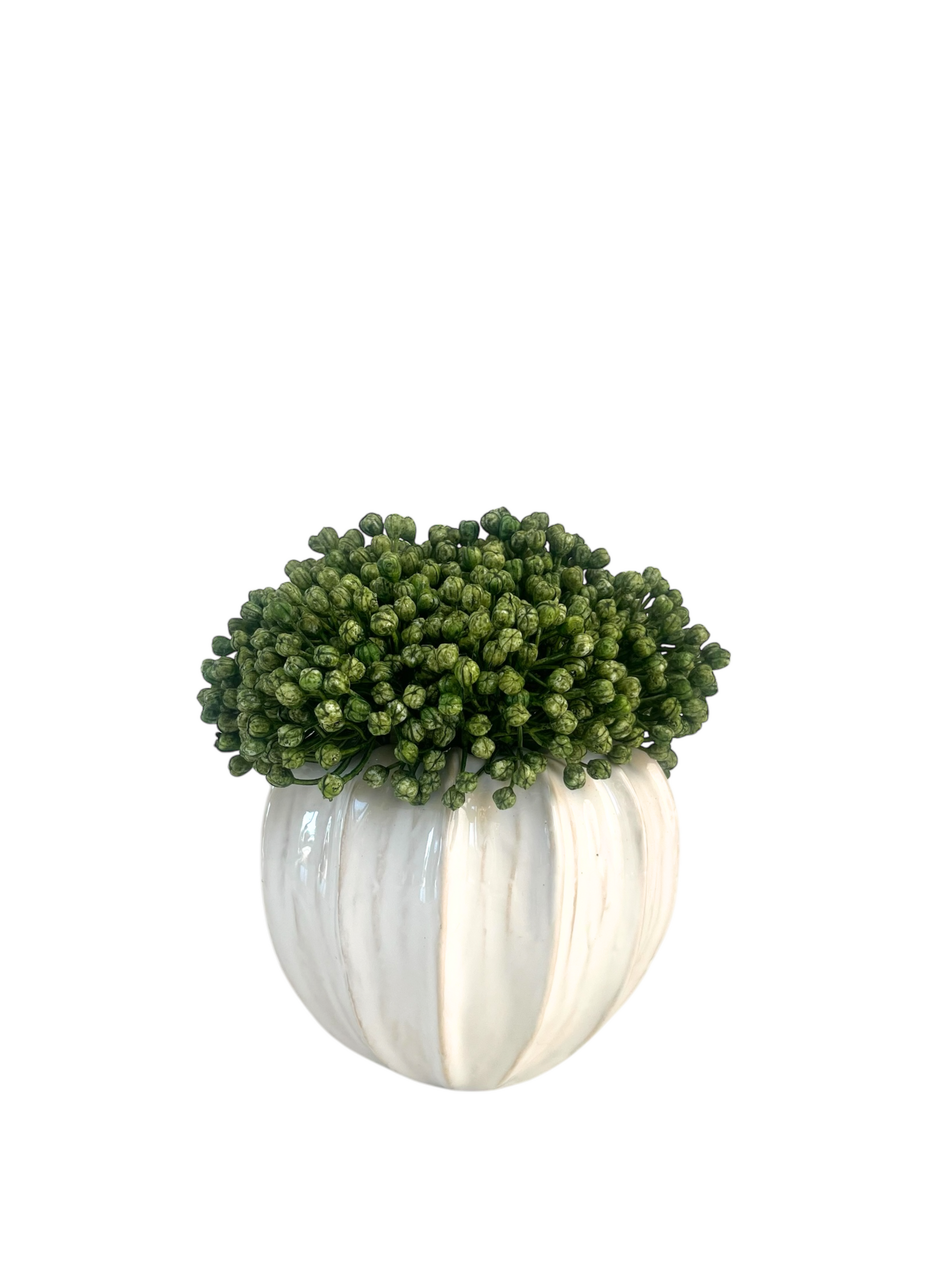 lush green hydrangea bud displayed in a cream glazed urchin vase.