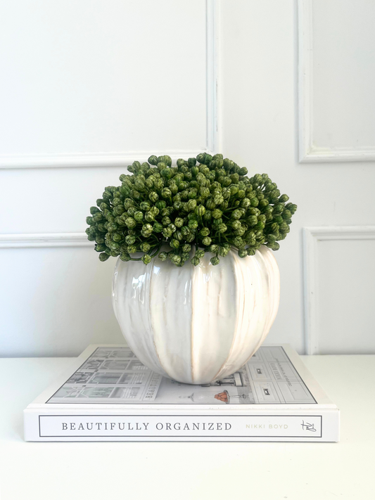 lush green hydrangea bud displayed in a cream glazed urchin vase displayed on a book.