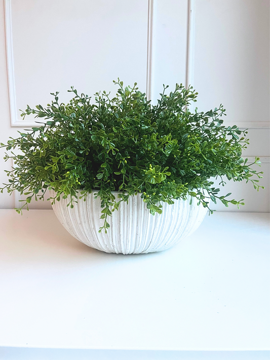 Mini leaf plant in ceramic ribbed bowl planter