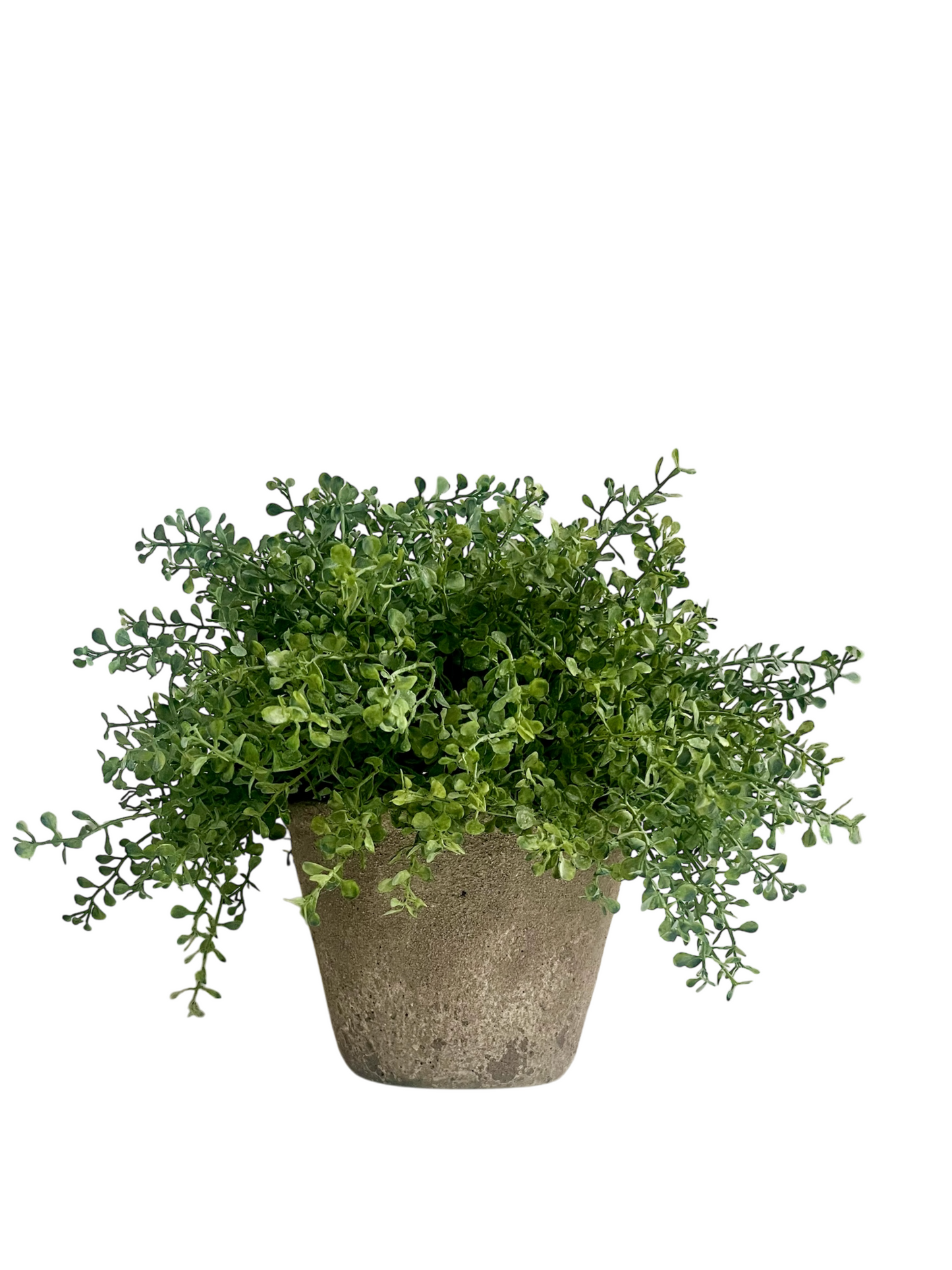 Neutral coloured rustic concrete melange pot brimming with lush green artificial button fern.