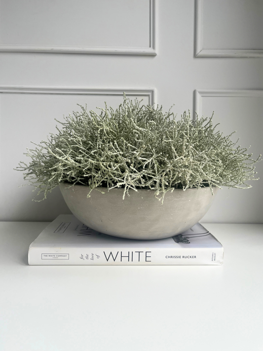 Light grey artificial santolina set in a concrete bowl planter displayed on a book.