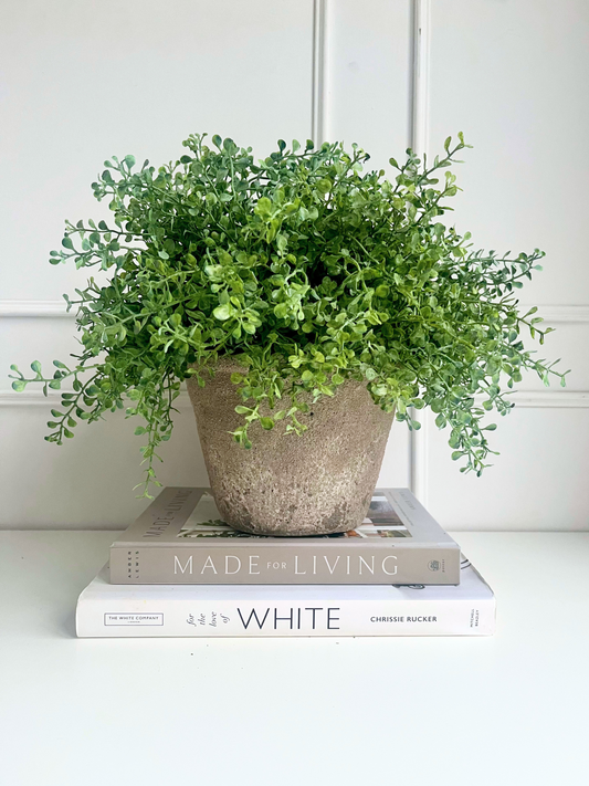 Neutral coloured rustic concrete melange pot brimming with lush green artificial button fern displayed on a stack of books.