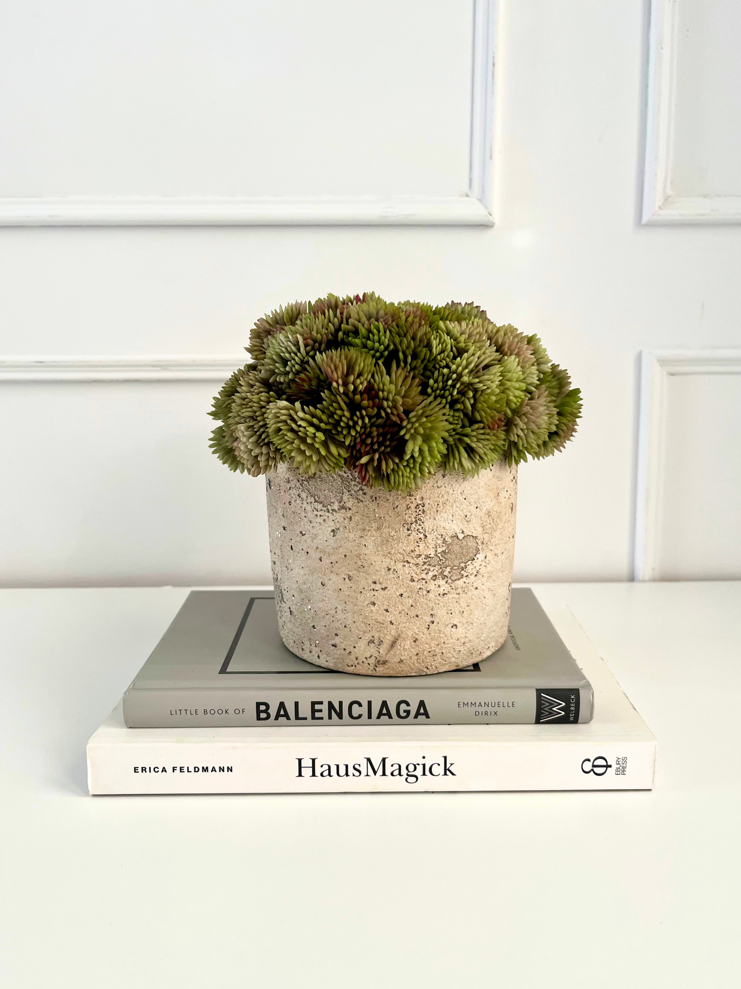 Artificial muted green angelica succulent set in a neutral colour rustic concrete pot displayed on a stack of books.