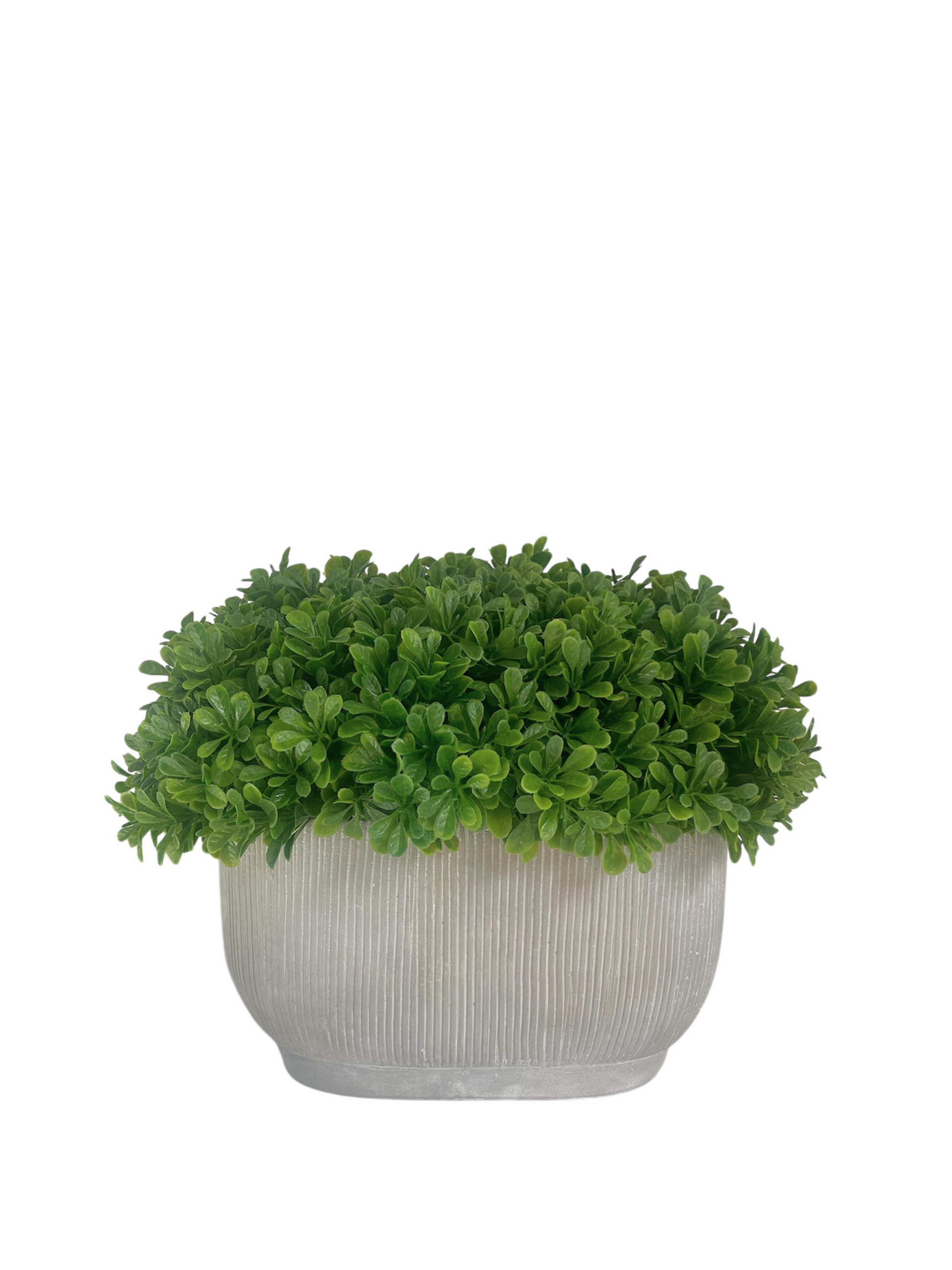 Lush green artificial buxus set n a concrete ridged planter.