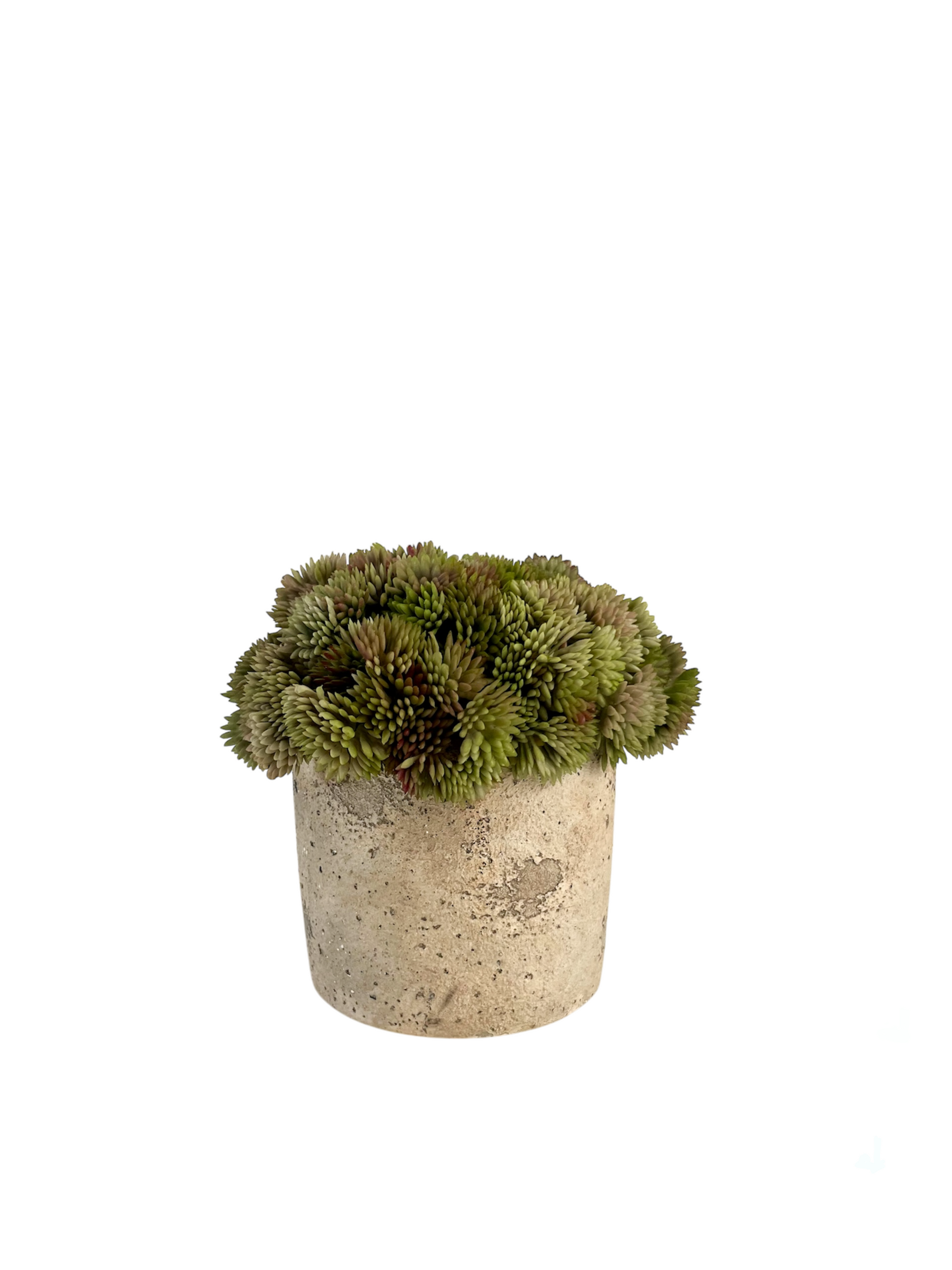 Artificial muted green angelica succulent set in a neutral colour rustic concrete pot.