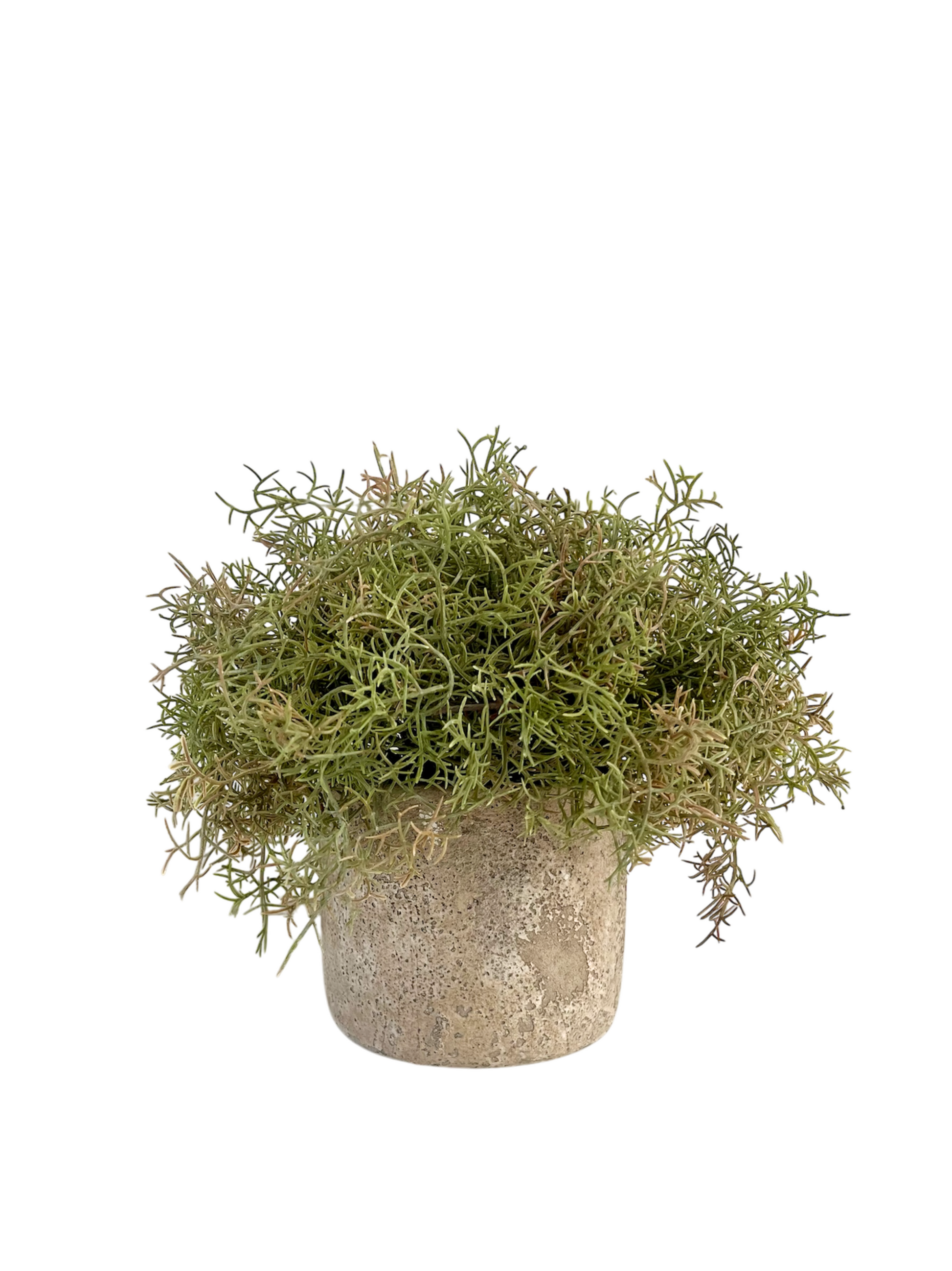 Muted green with a hint of brown artificial Spanish moss arranged in a rustic concrete pot.