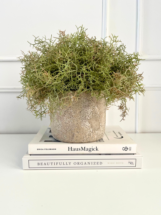 Muted green with a hint of brown artificial Spanish moss arranged in a rustic concrete pot displayed on a stack of books.