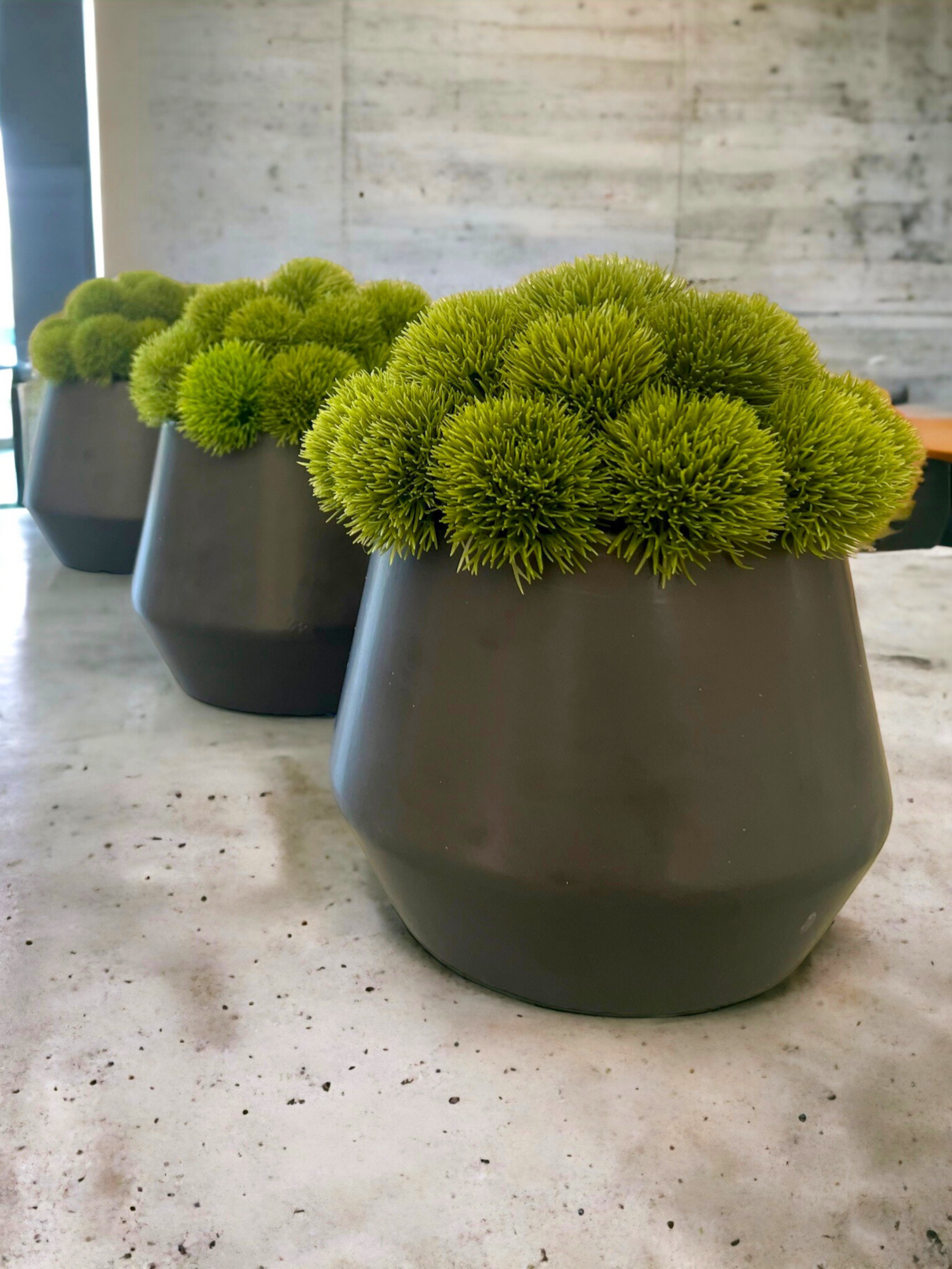 Row of three artificial dianthus in matt black planter on concrete table.