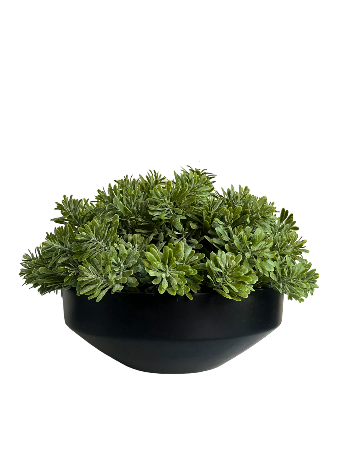 Artificial crossestephium succulent set in a black mango wood bowl planter.