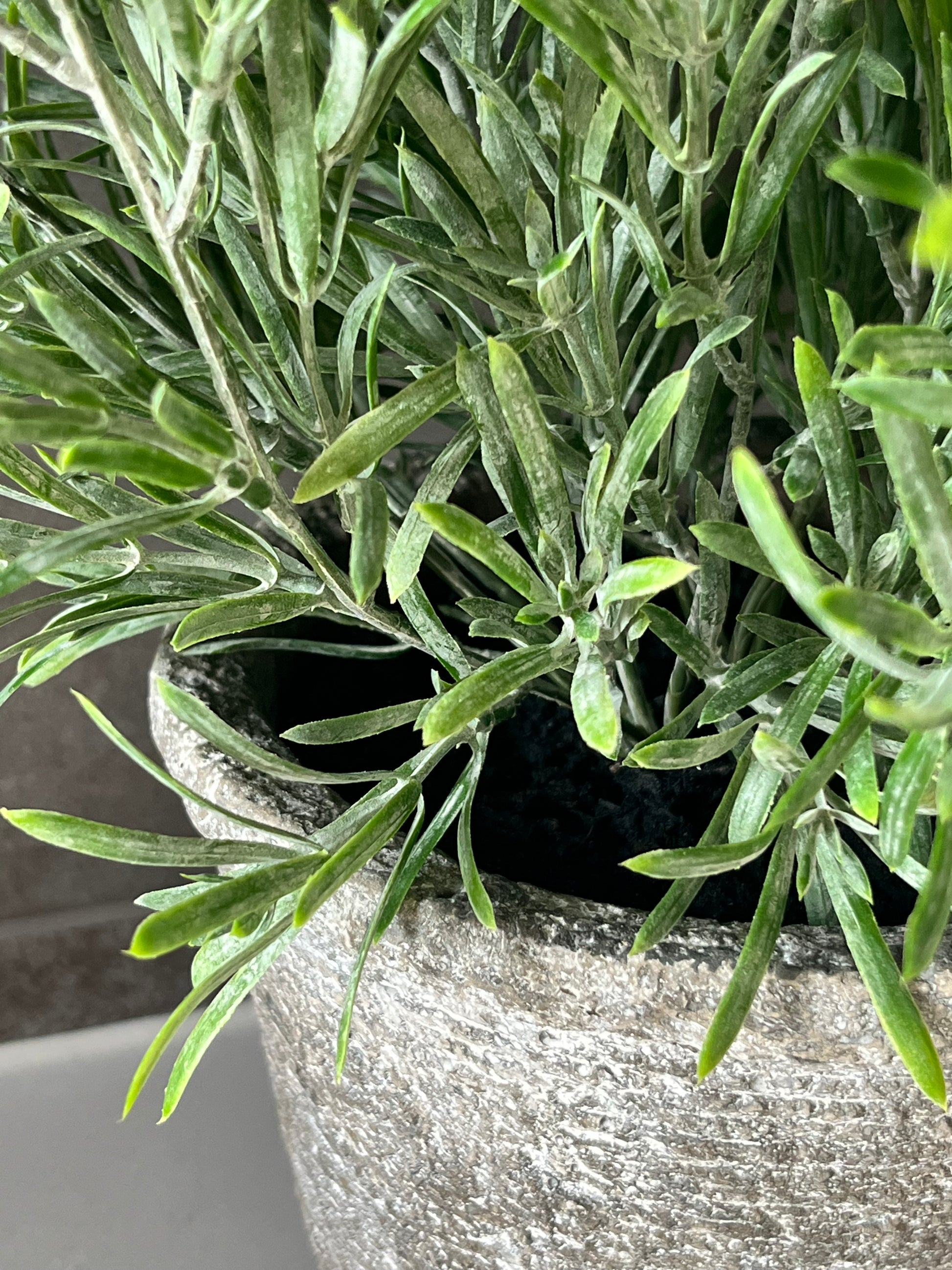 Lush green artificial rosemary set in a rustic concrete planter with tray.